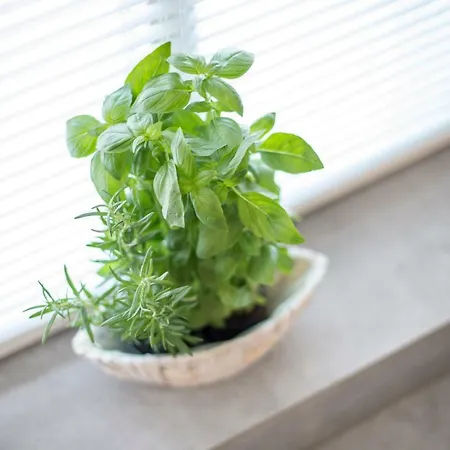 Apartamenty4you - Atlantic Lejlighed